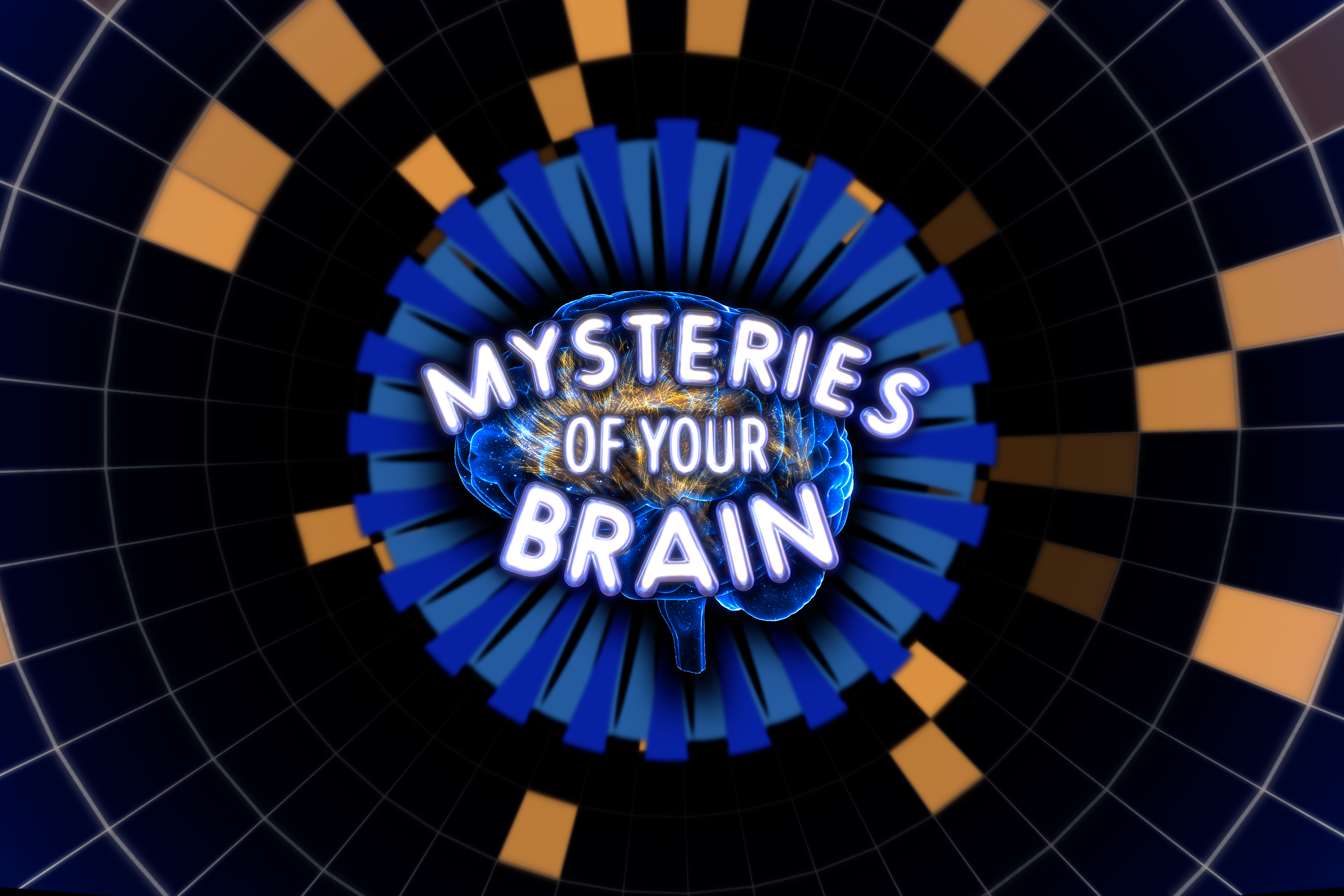 Mysteries of the Brain image